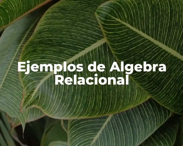 Ejemplos de Algebra Relacional