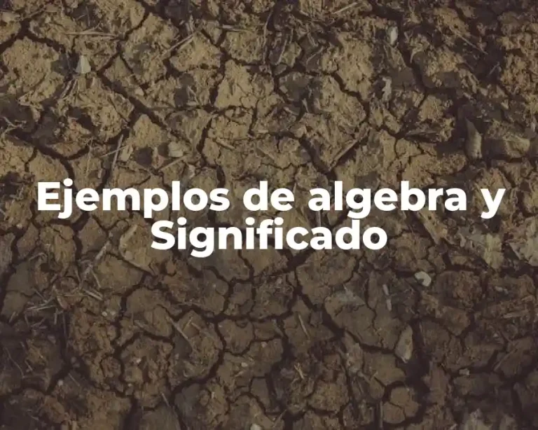 Ejemplos de algebra y Significado
