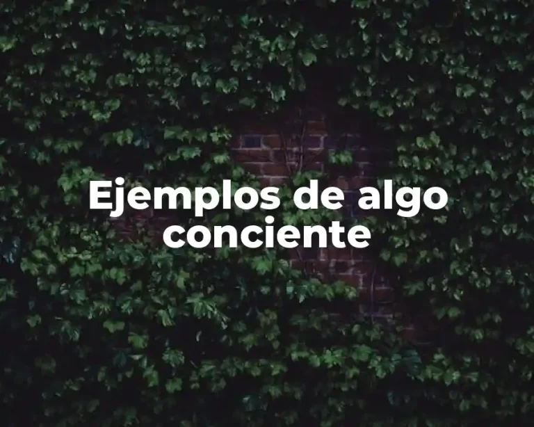 Ejemplos de algo conciente