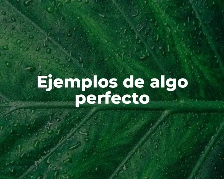 Ejemplos de algo perfecto