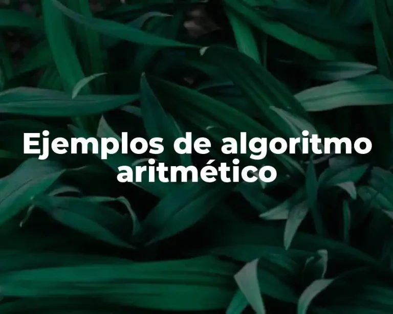 Ejemplos de algoritmo aritmético