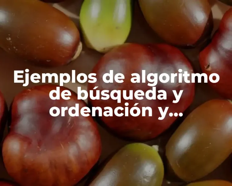 Ejemplos de algoritmo de búsqueda y ordenación y Significado