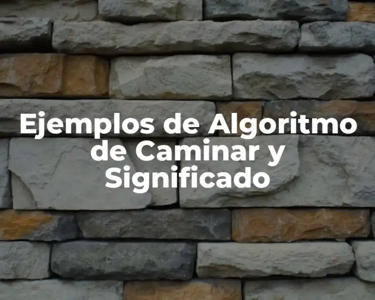 Ejemplos de Algoritmo de Caminar y Significado