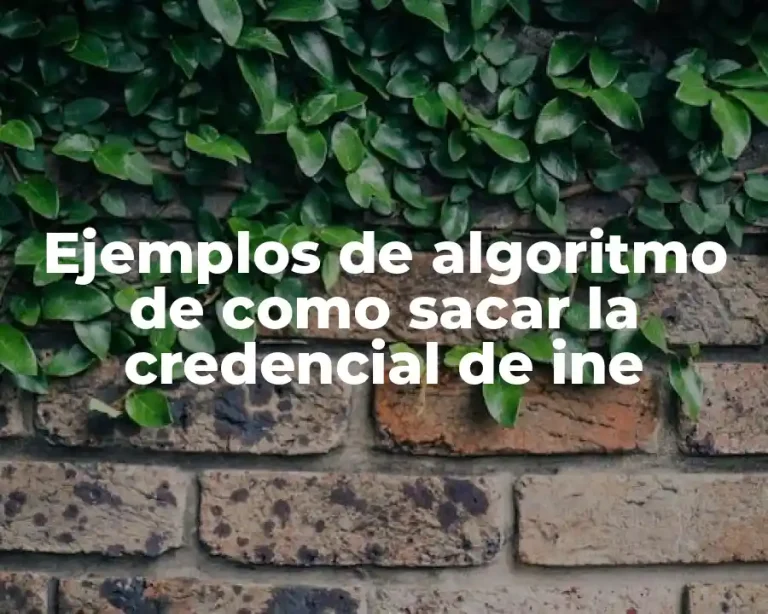 Ejemplos de algoritmo de como sacar la credencial de ine