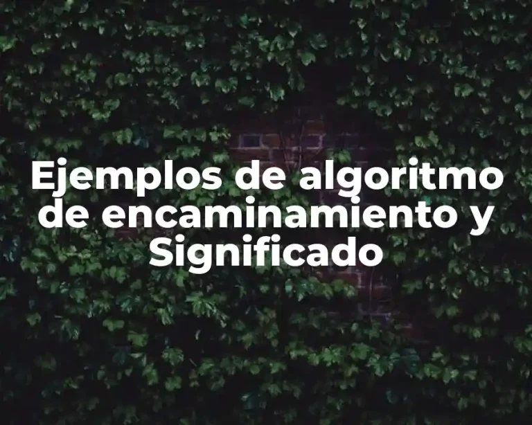 Ejemplos de algoritmo de encaminamiento y Significado