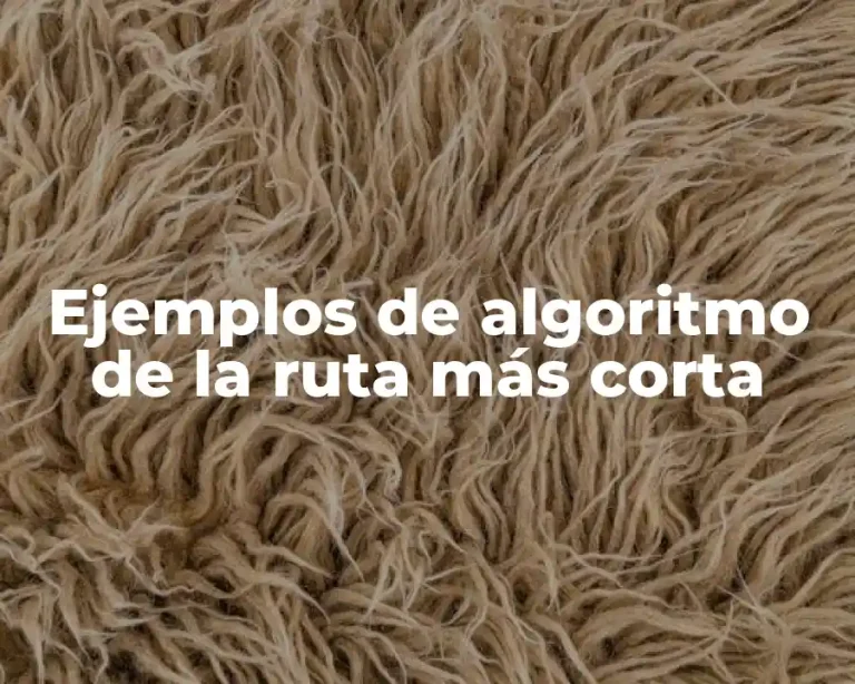 Ejemplos de algoritmo de la ruta más corta