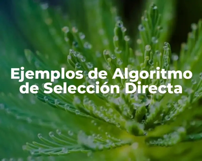 Ejemplos de Algoritmo de Selección Directa