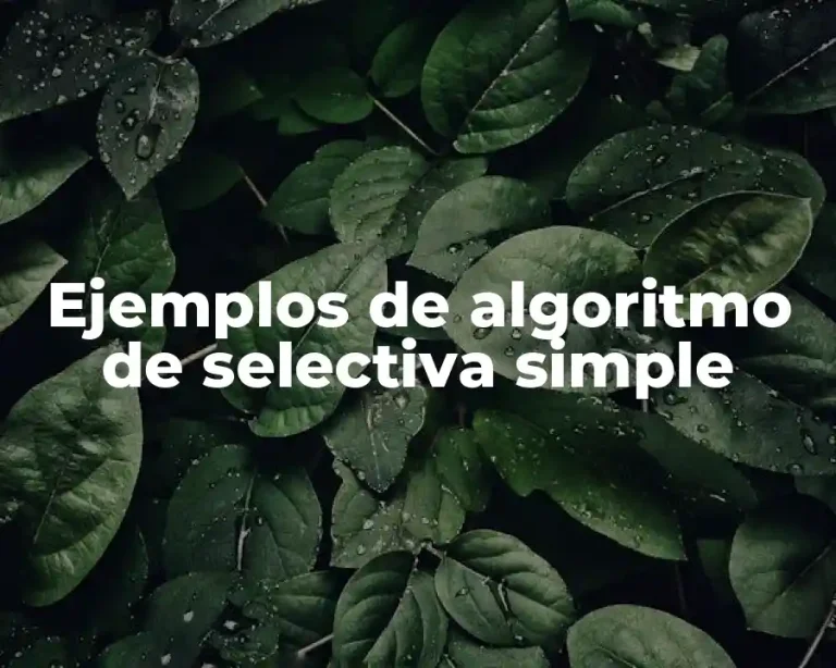 Ejemplos de algoritmo de selectiva simple
