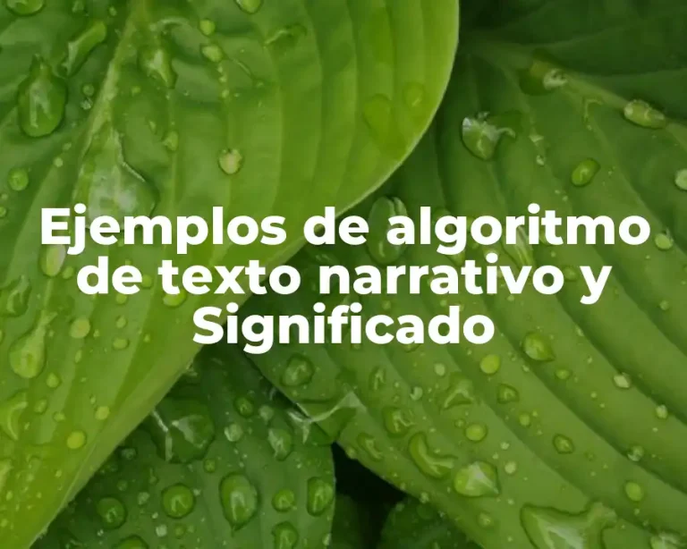 Ejemplos de algoritmo de texto narrativo y Significado