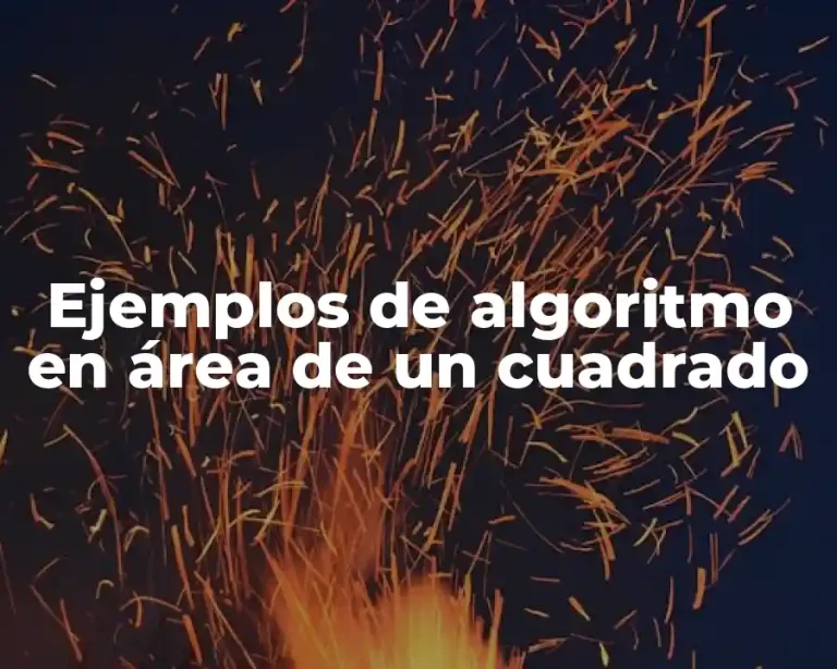 Ejemplos de algoritmo en área de un cuadrado