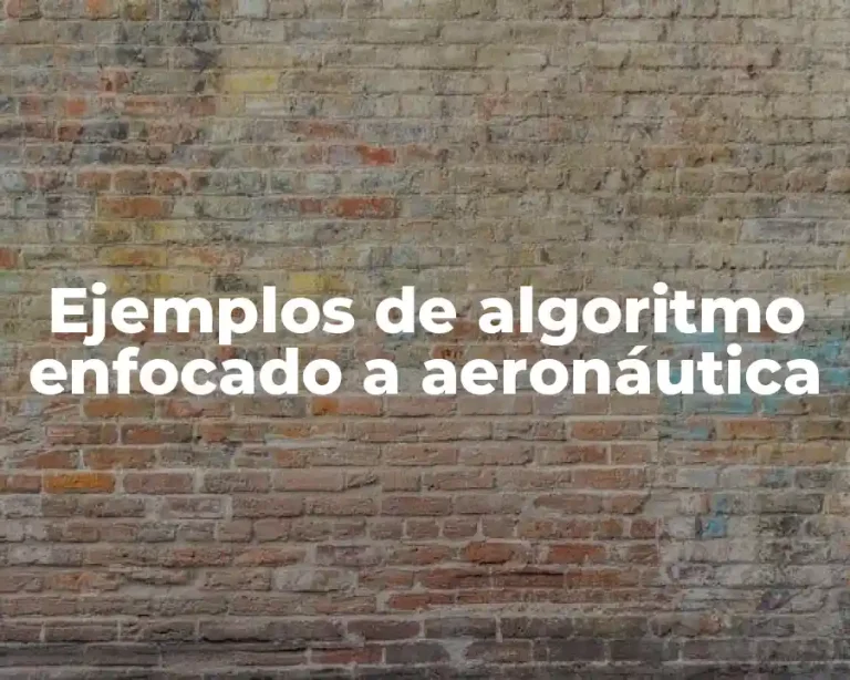 Ejemplos de algoritmo enfocado a aeronáutica