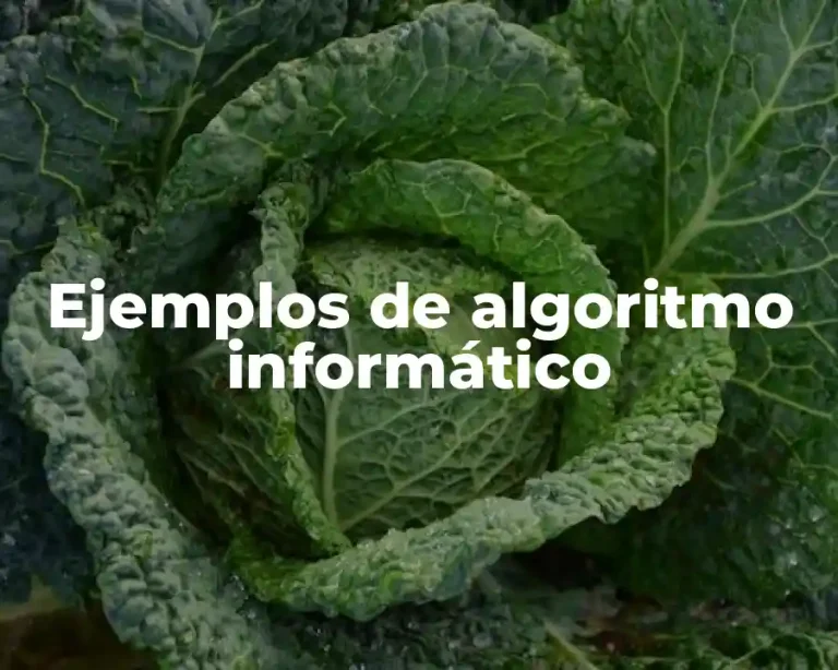 Ejemplos de algoritmo informático