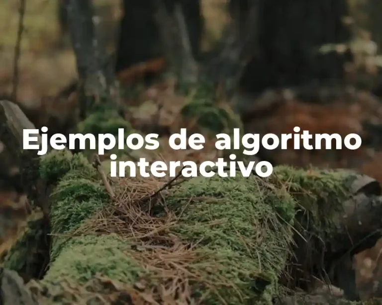 Ejemplos de algoritmo interactivo