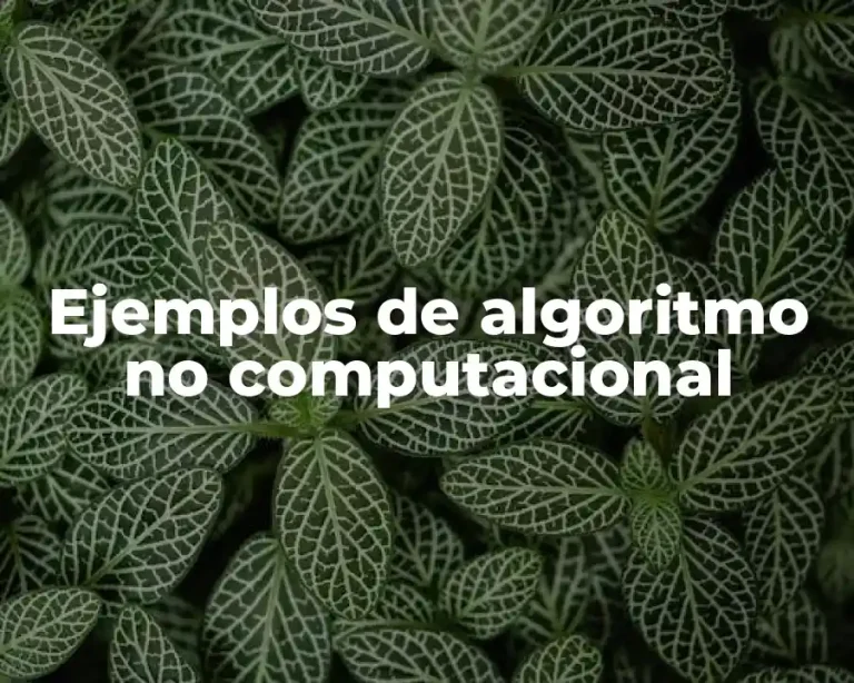 Ejemplos de algoritmo no computacional