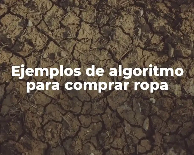 Ejemplos de algoritmo para comprar ropa