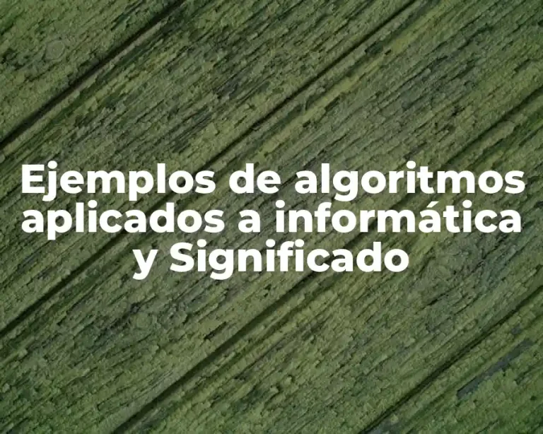 Ejemplos de algoritmos aplicados a informática y Significado