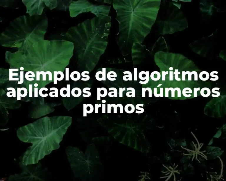 Ejemplos de algoritmos aplicados para números primos