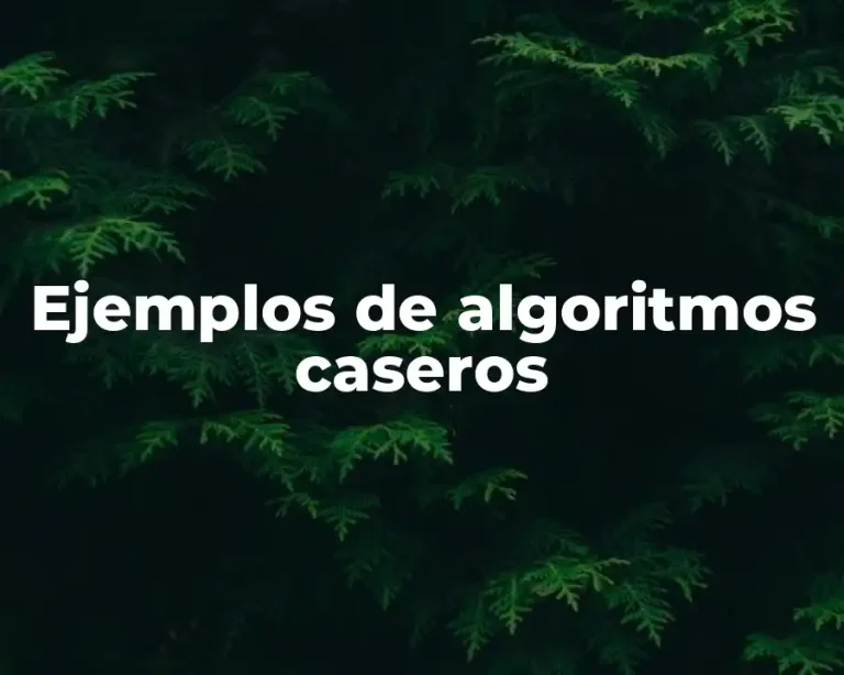 Ejemplos de algoritmos caseros