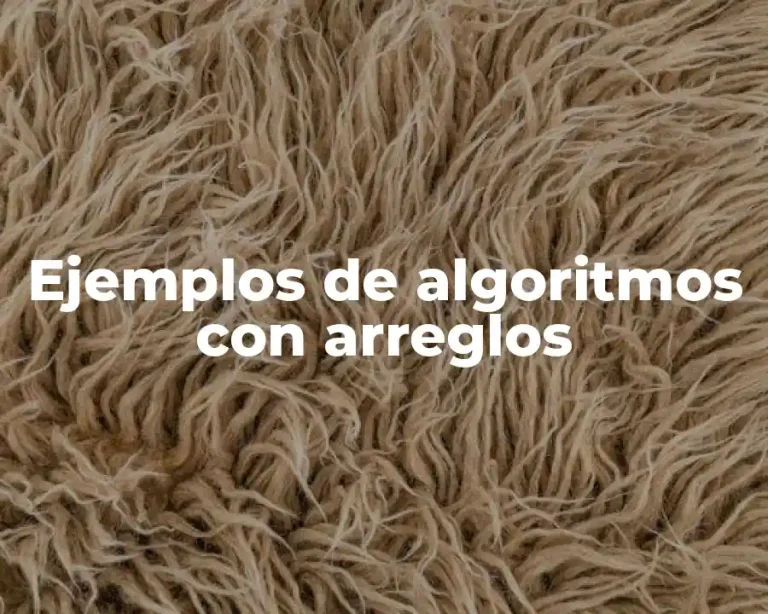 Ejemplos de algoritmos con arreglos