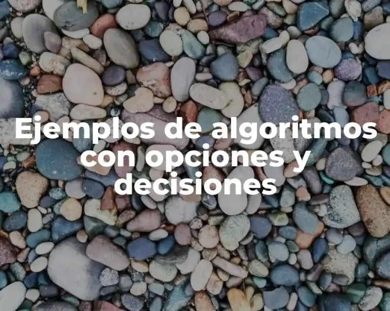 Ejemplos de algoritmos con opciones y decisiones