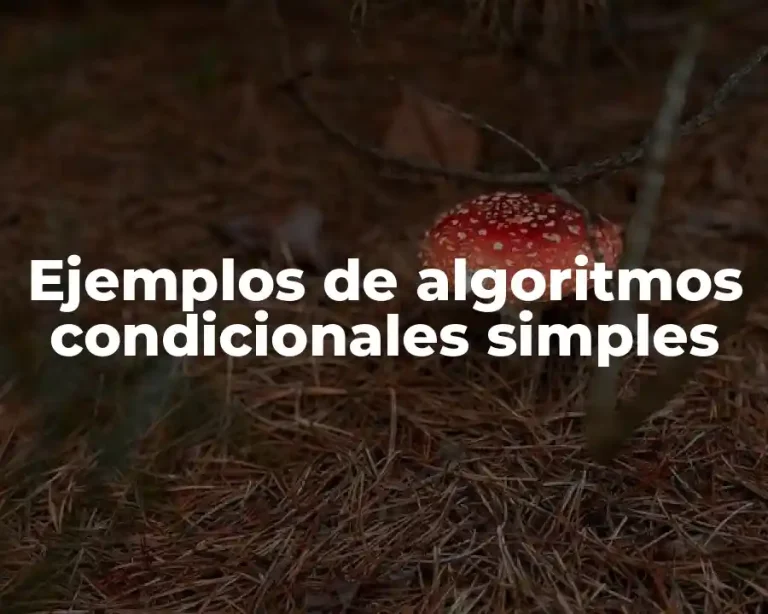 Ejemplos de algoritmos condicionales simples
