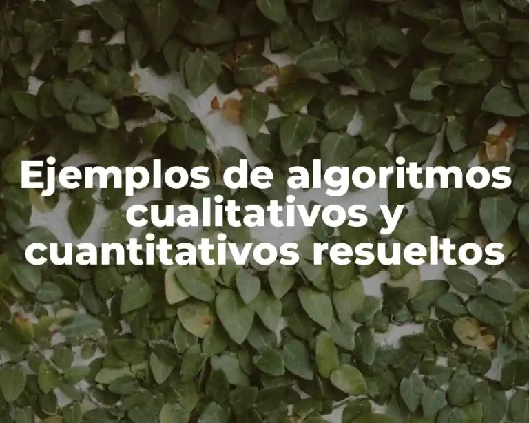 Ejemplos de algoritmos cualitativos y cuantitativos resueltos