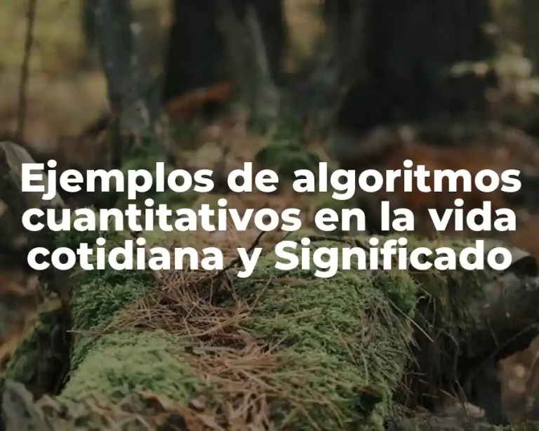 Ejemplos de algoritmos cuantitativos en la vida cotidiana y Significado