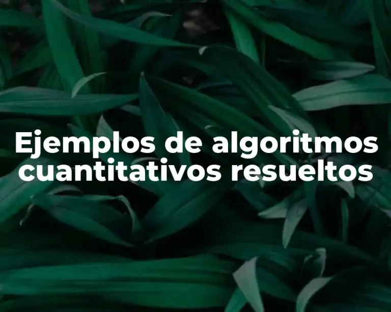 Ejemplos de algoritmos cuantitativos resueltos