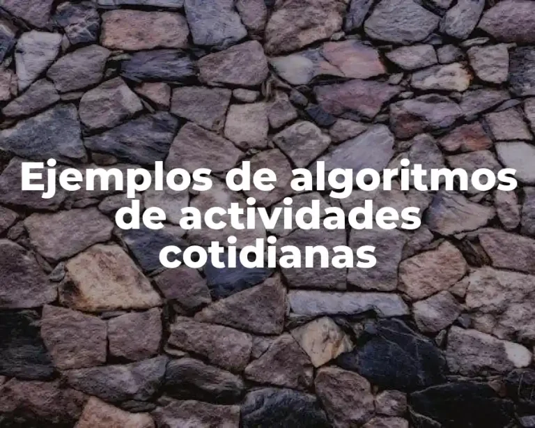 Ejemplos de algoritmos de actividades cotidianas