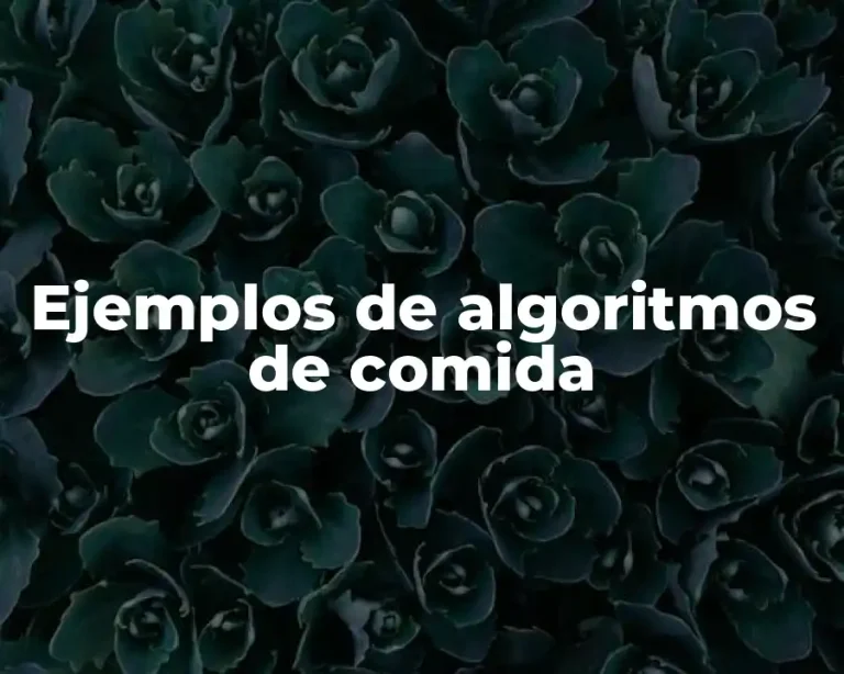Ejemplos de algoritmos de comida