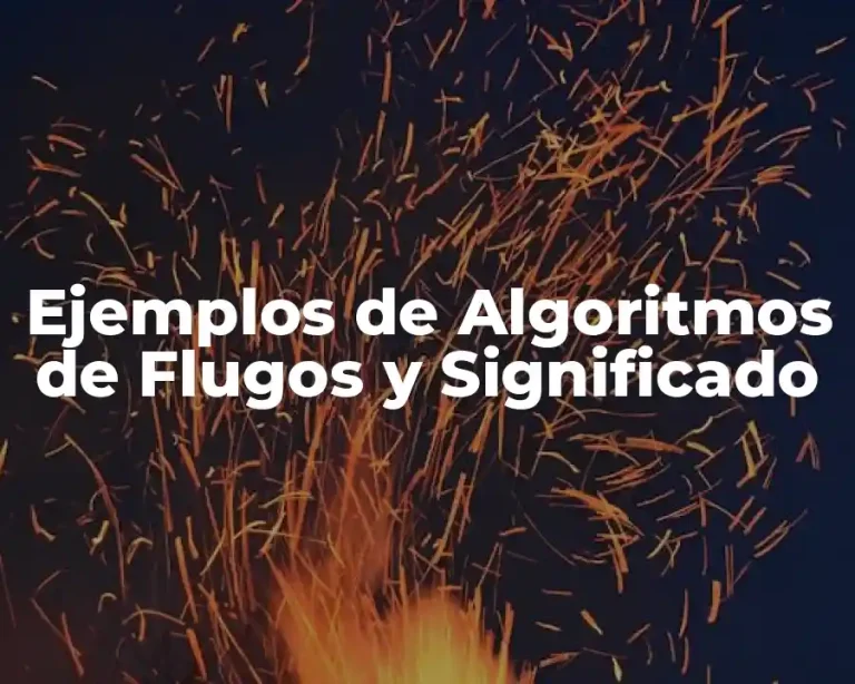 Ejemplos de Algoritmos de Flugos y Significado