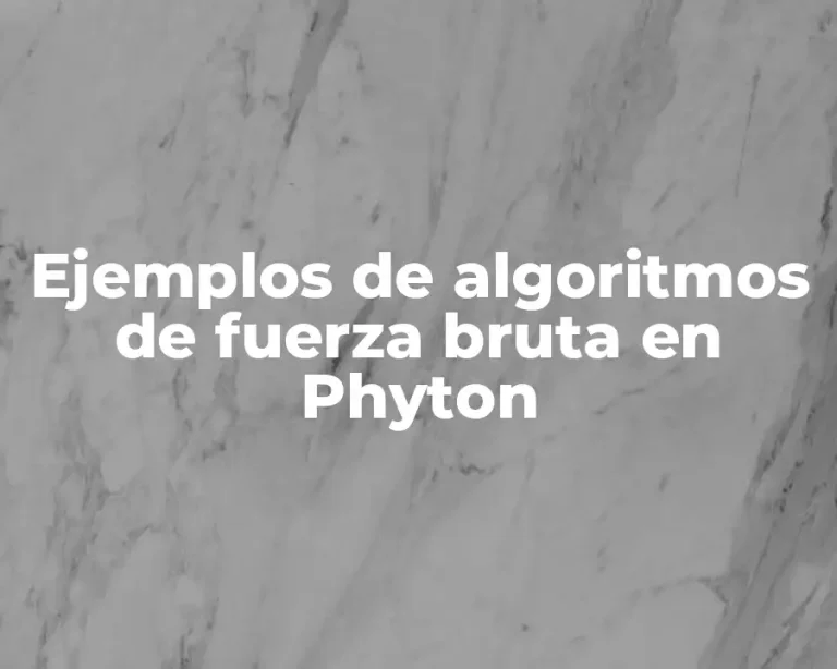 Ejemplos de algoritmos de fuerza bruta en Phyton