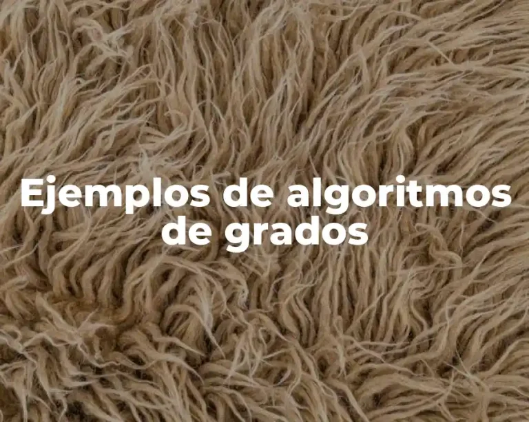 Ejemplos de algoritmos de grados