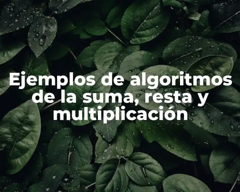Ejemplos de algoritmos de la suma, resta y multiplicación