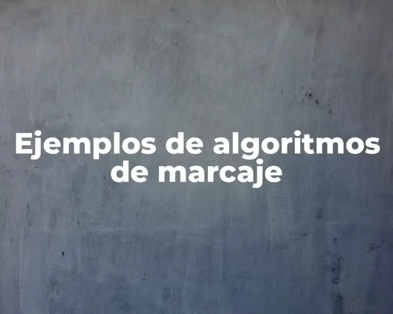 Ejemplos de algoritmos de marcaje