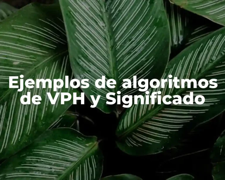 Ejemplos de algoritmos de VPH y Significado