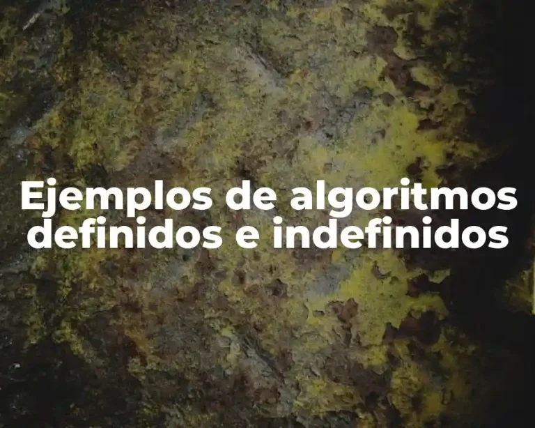 Ejemplos de algoritmos definidos e indefinidos