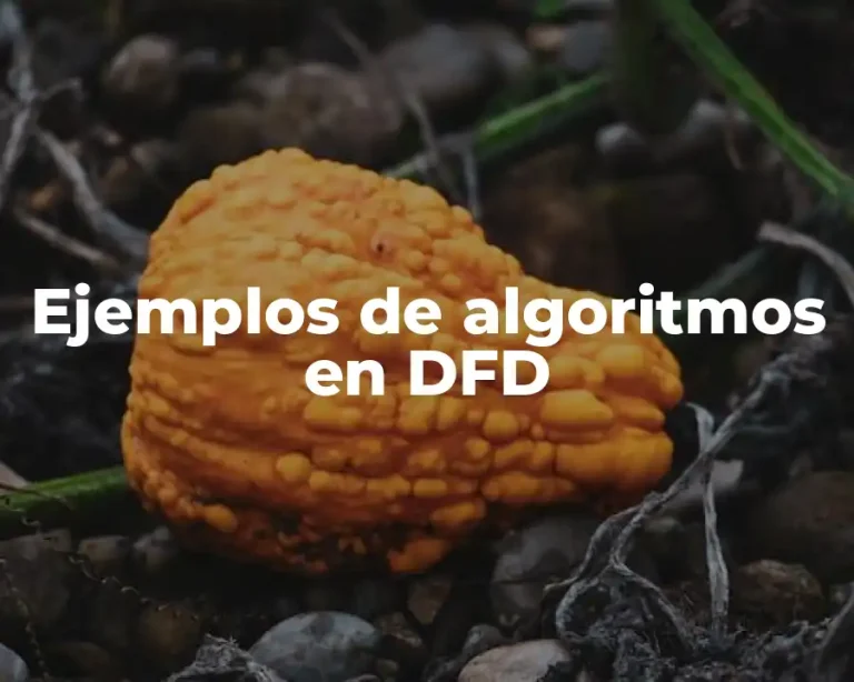 Ejemplos de algoritmos en DFD