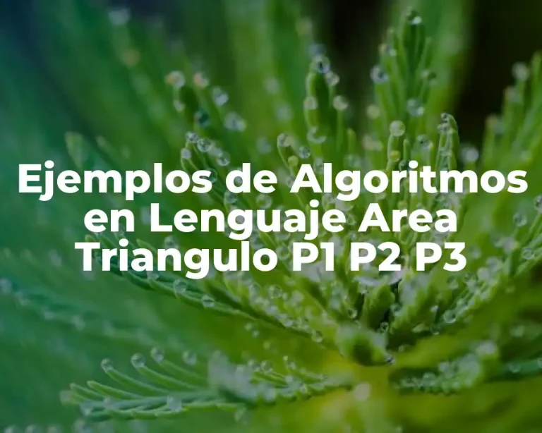 Ejemplos de Algoritmos en Lenguaje Area Triangulo P1 P2 P3
