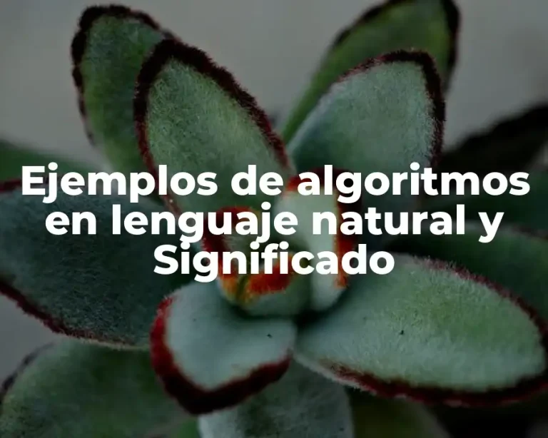 Ejemplos de algoritmos en lenguaje natural y Significado
