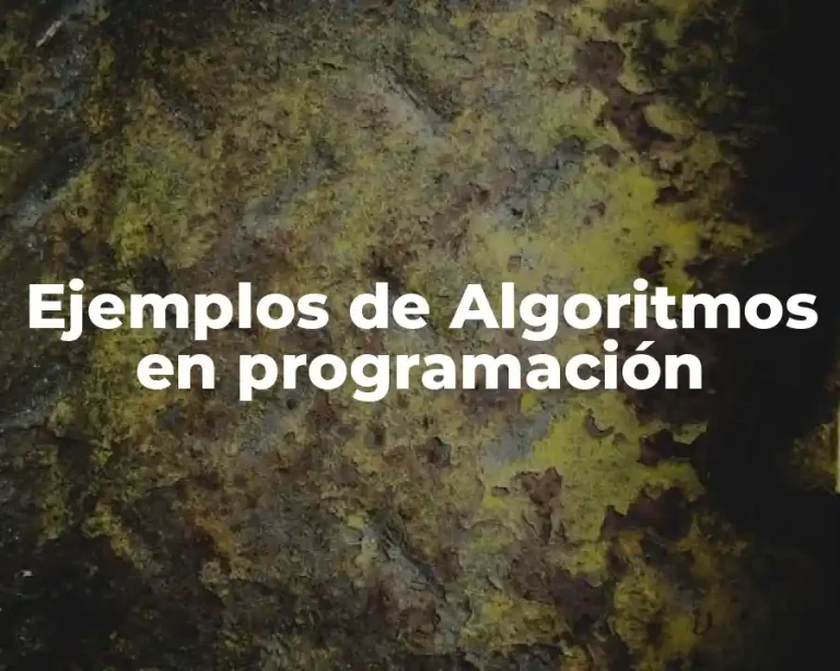 Ejemplos de Algoritmos en programación