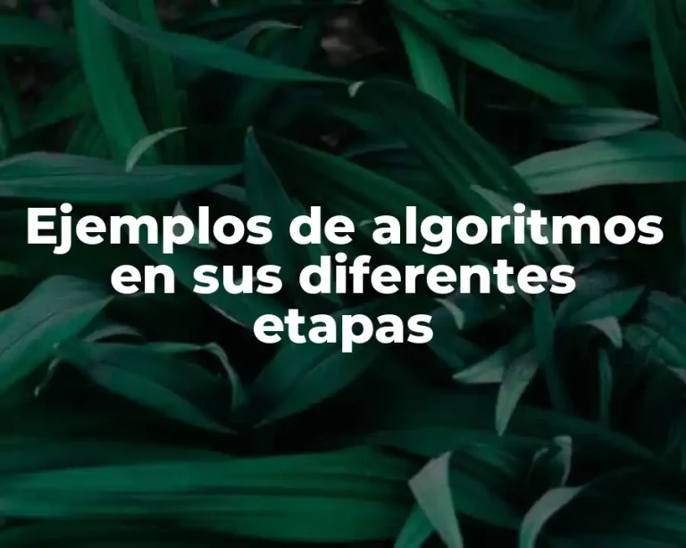 Ejemplos de algoritmos en sus diferentes etapas