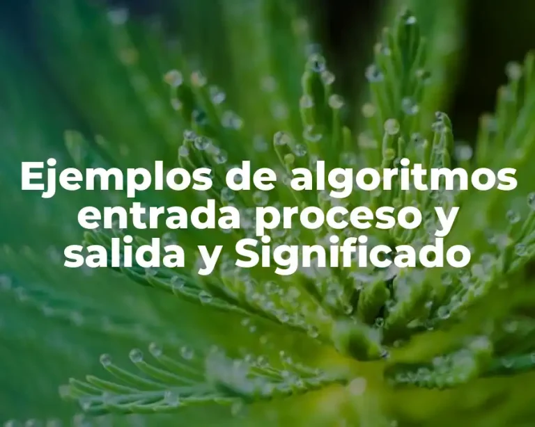 Ejemplos de algoritmos entrada proceso y salida y Significado