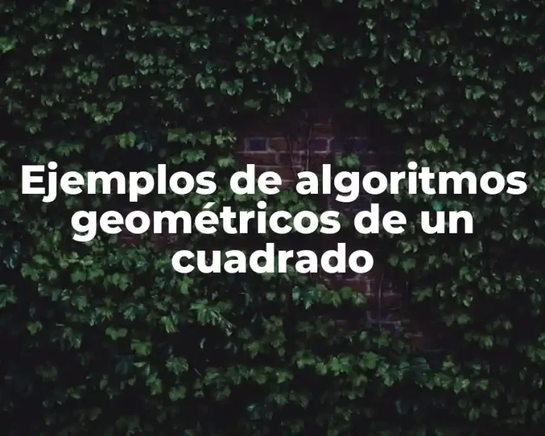 Ejemplos de algoritmos geométricos de un cuadrado