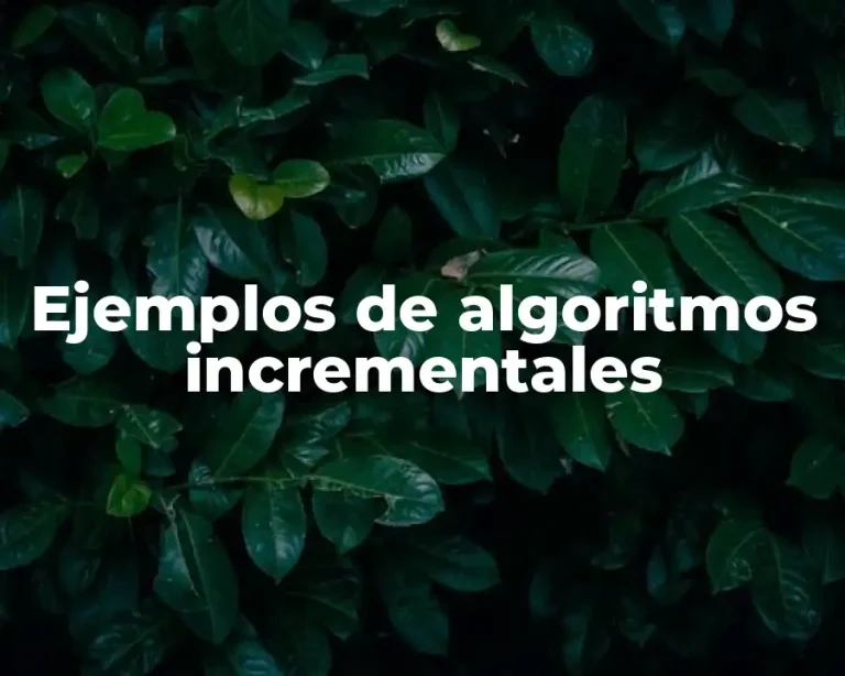 Ejemplos de algoritmos incrementales