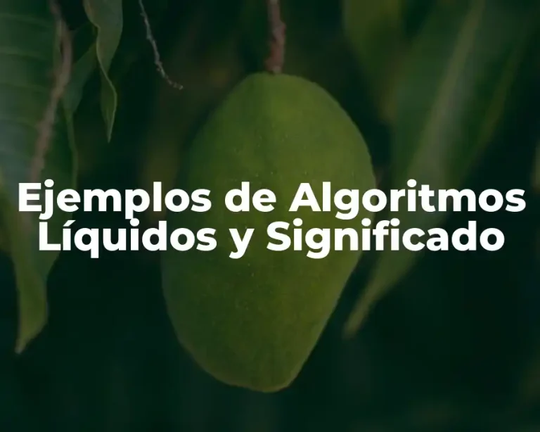 Ejemplos de Algoritmos Líquidos y Significado