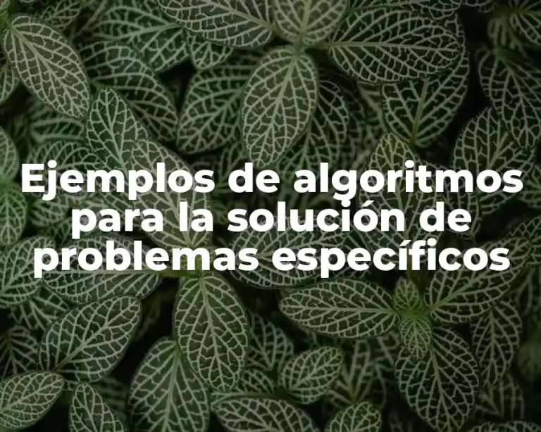 Ejemplos de algoritmos para la solución de problemas específicos