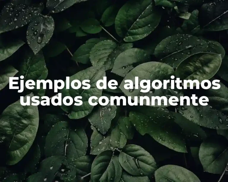 Ejemplos de algoritmos usados comunmente