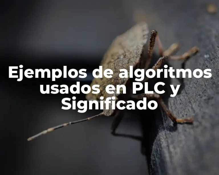 Ejemplos de algoritmos usados en PLC y Significado