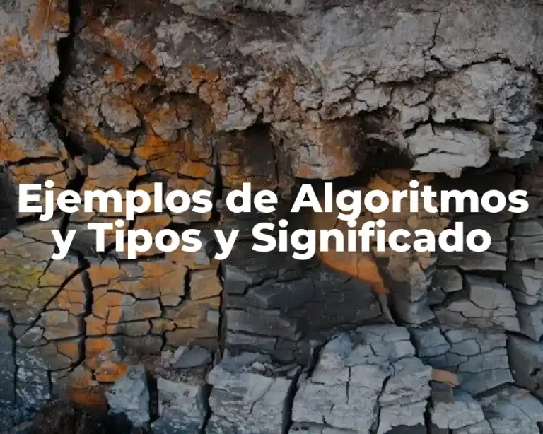 Ejemplos de Algoritmos y Tipos y Significado